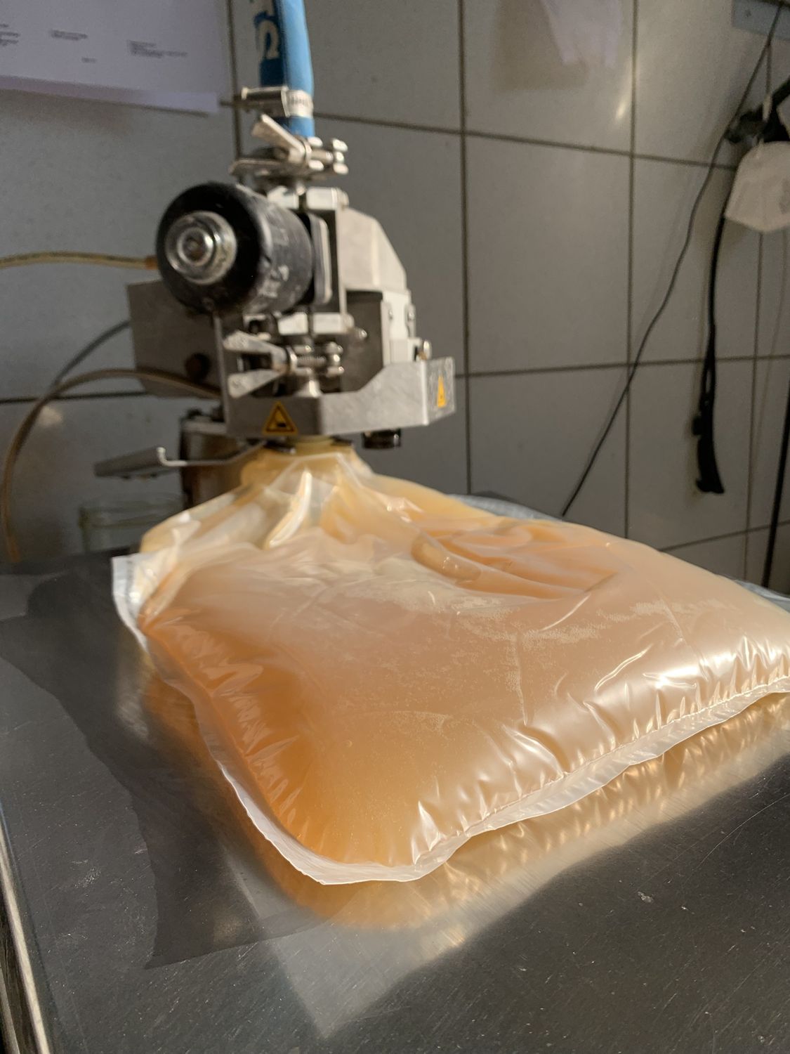 Frisch gepresster Apfelsaft wird in einen Bag-in-Box-Beutel abgefüllt
