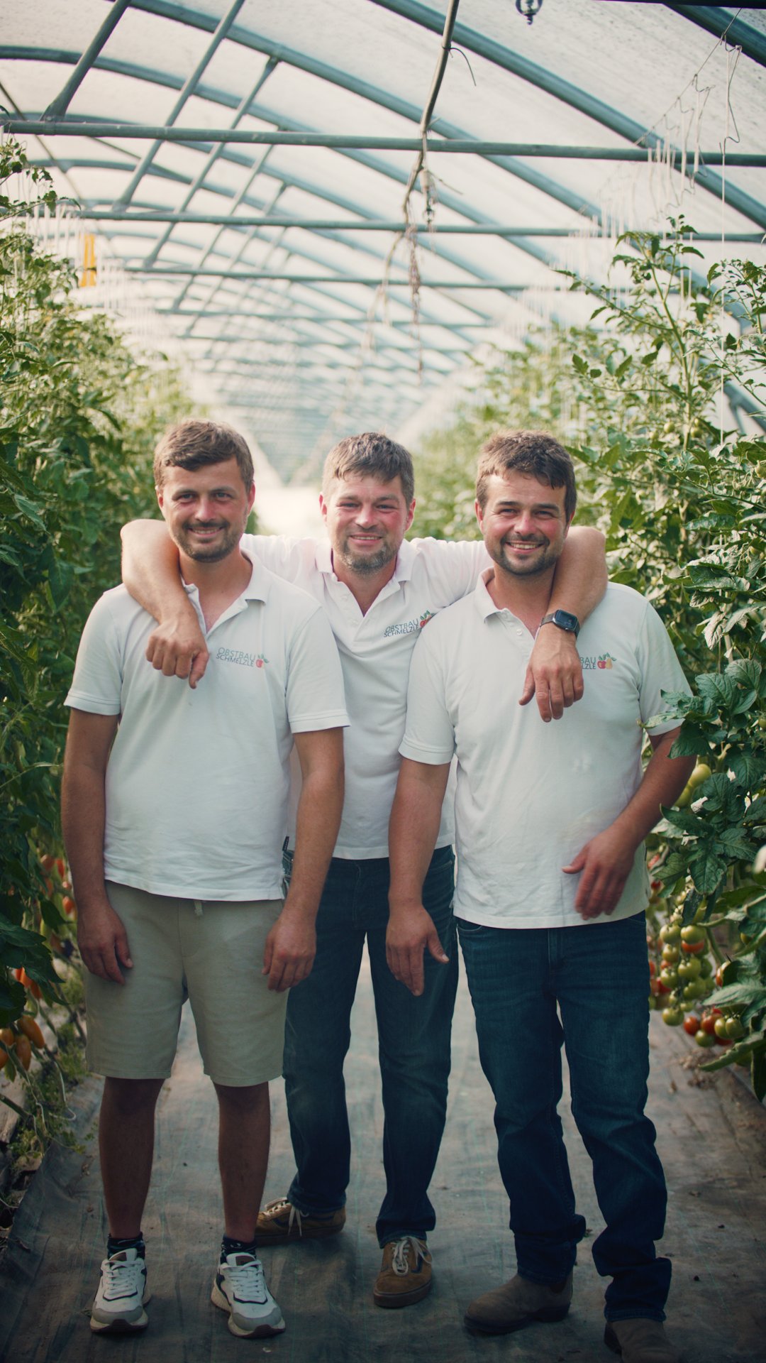 Die drei Brüder in weißen Obstbau-Schmelzle-Poloshirts im Folientunnel zwischen Tomatenpflanzen, von links Benny, Samuel und Micha