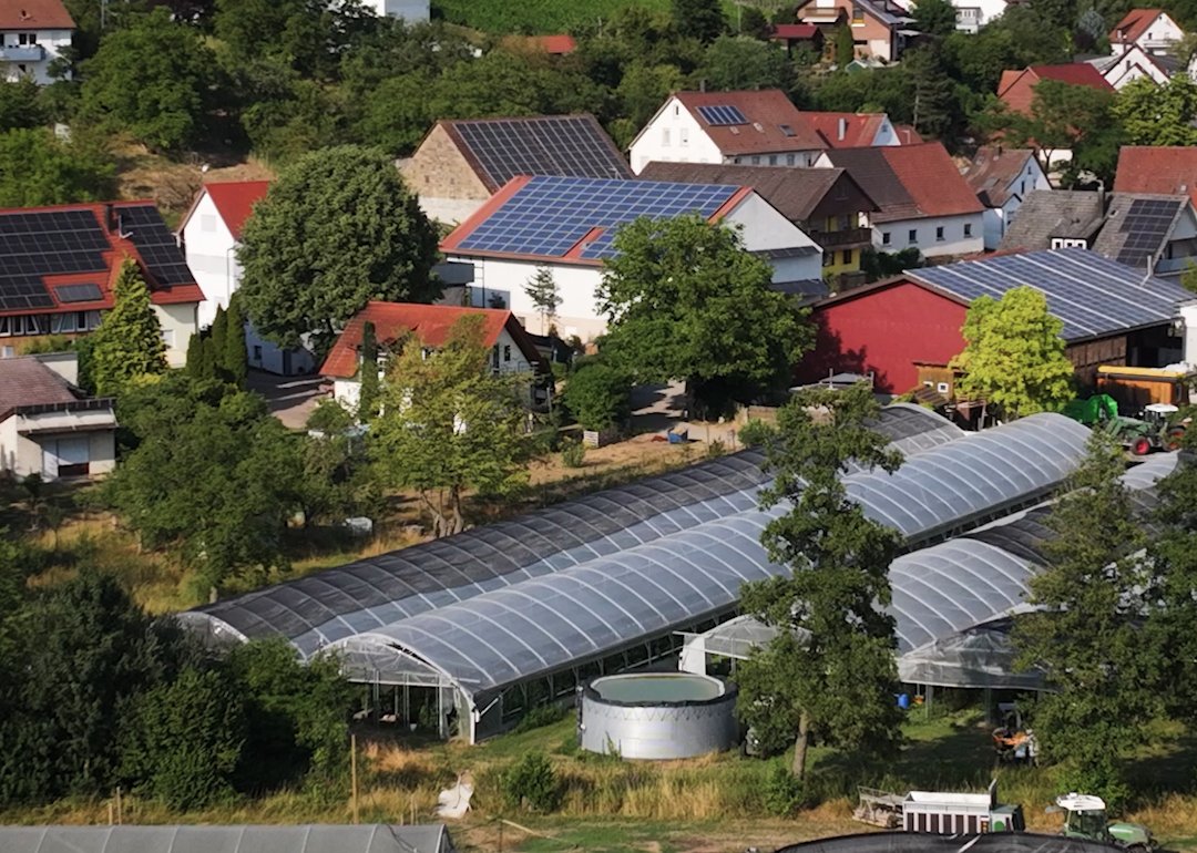 Luftaufnahme der Hofstelle in Verrenberg mit Folientunneln und Weinbergen